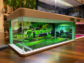 (Pre-Order) GDO 1:64 L04 Jurassic series - Green Background **DEADLINE June 24th, 2026**